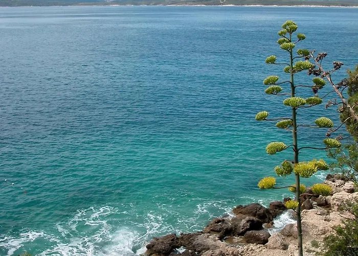 Holiday-home With Pool & Sea View In *